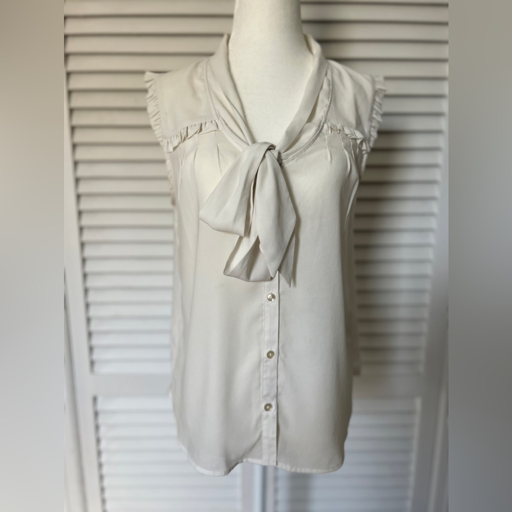 Sheer Button Down Shirt